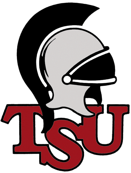 Troy Trojans 1993-2003 Primary Logo iron on transfers for T-shirts